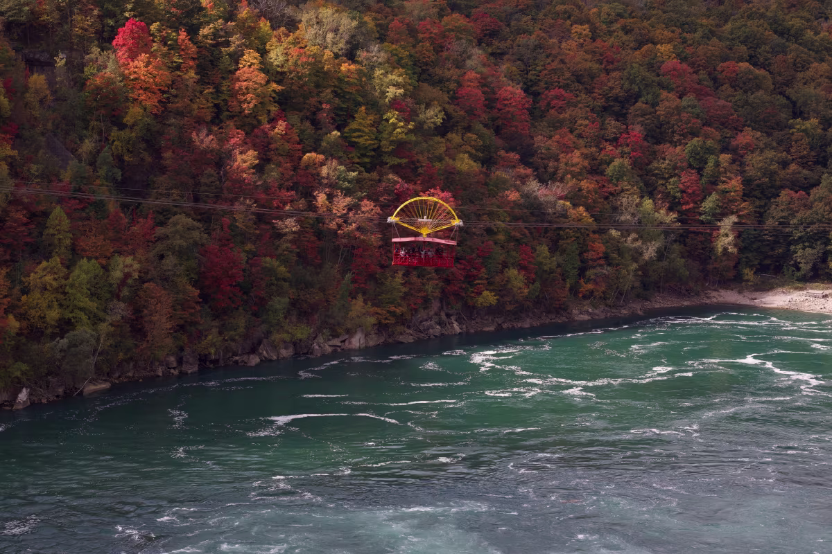 Niagara Glen photo 4