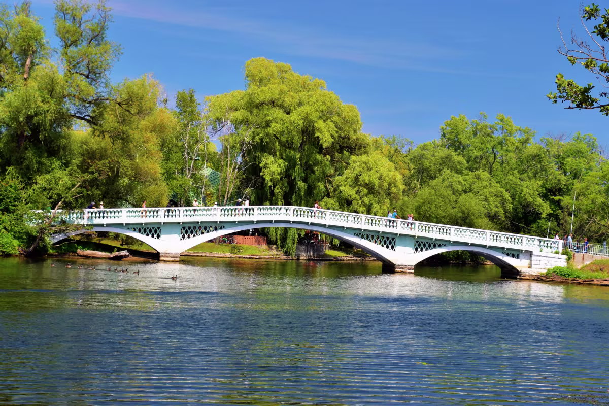 Toronto Islands photo 3