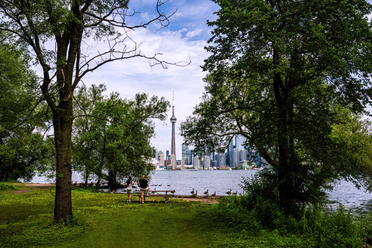 Toronto Islands photo 5