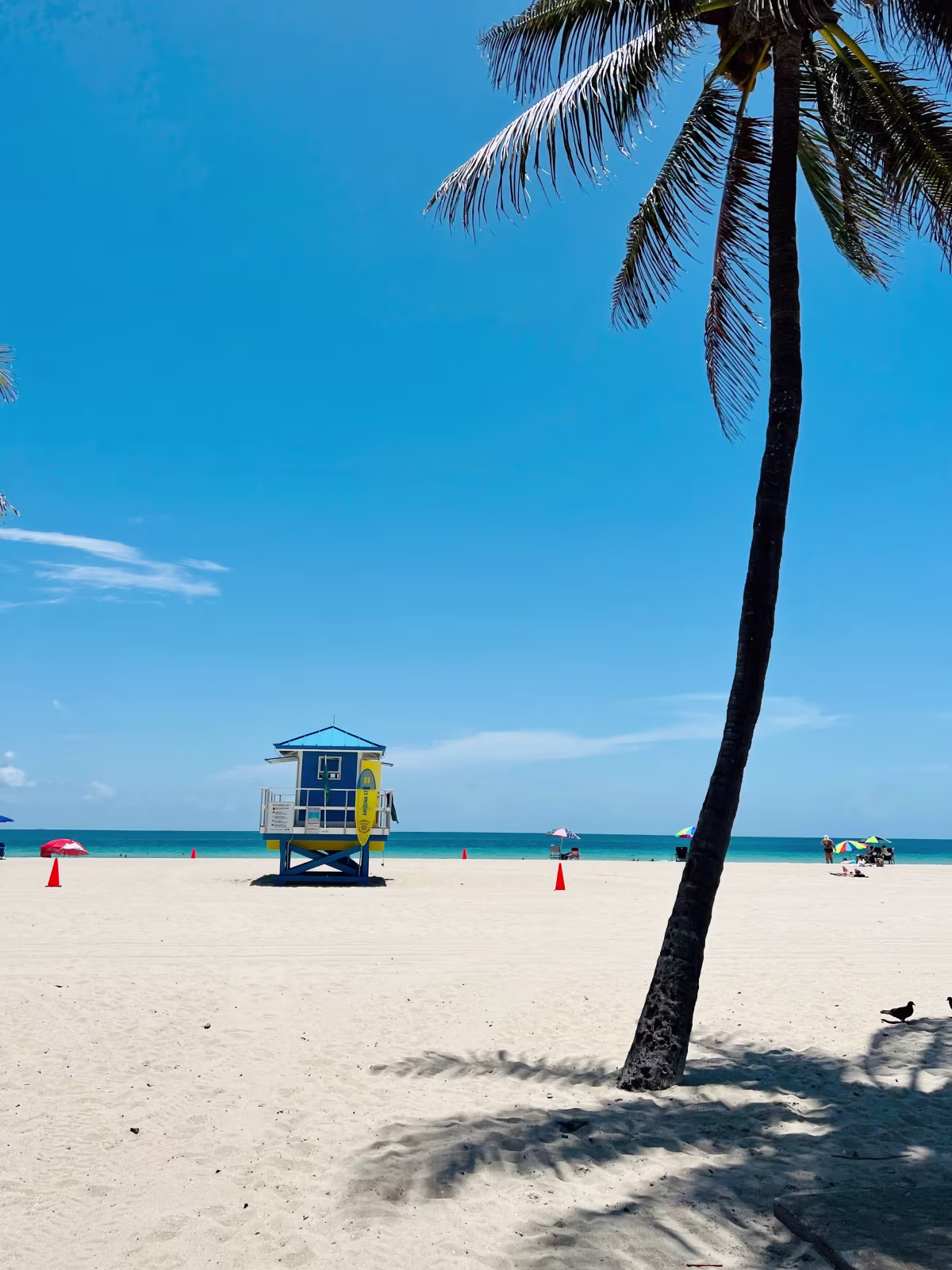 Las Olas Beach photo 2