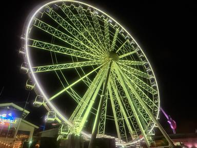 SEBASTIEN enjoying Scenic Miami Night Tour 2025-08-23 3