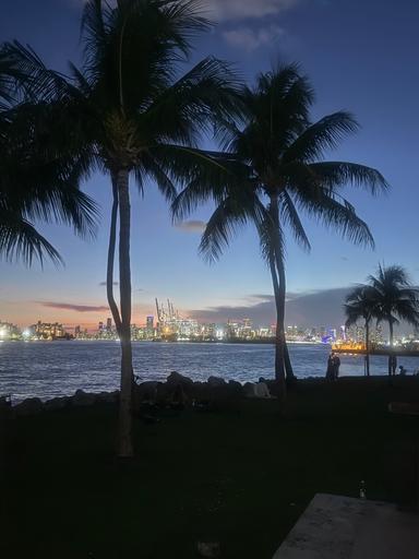 SEBASTIEN enjoying Scenic Miami Night Tour 2025-08-23 2