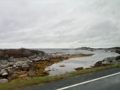 PHYLLIS enjoying Best of Halifax Tour including Peggy's Cove 2025-09-04 3
