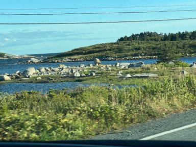 Preness enjoying Peggy's Cove Sunset Tour from Halifax 2025-08-24 1