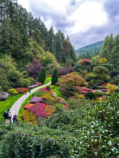 Debra enjoying Best of Victoria, BC with Malahat Skywalk, Butchart Gardens 2025-10-07 1
