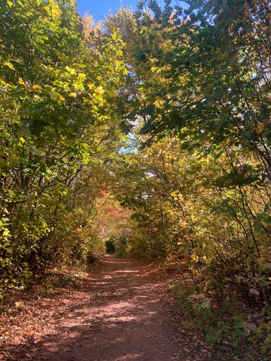 Hattie enjoying Best of PEI Tour 2025-10-21