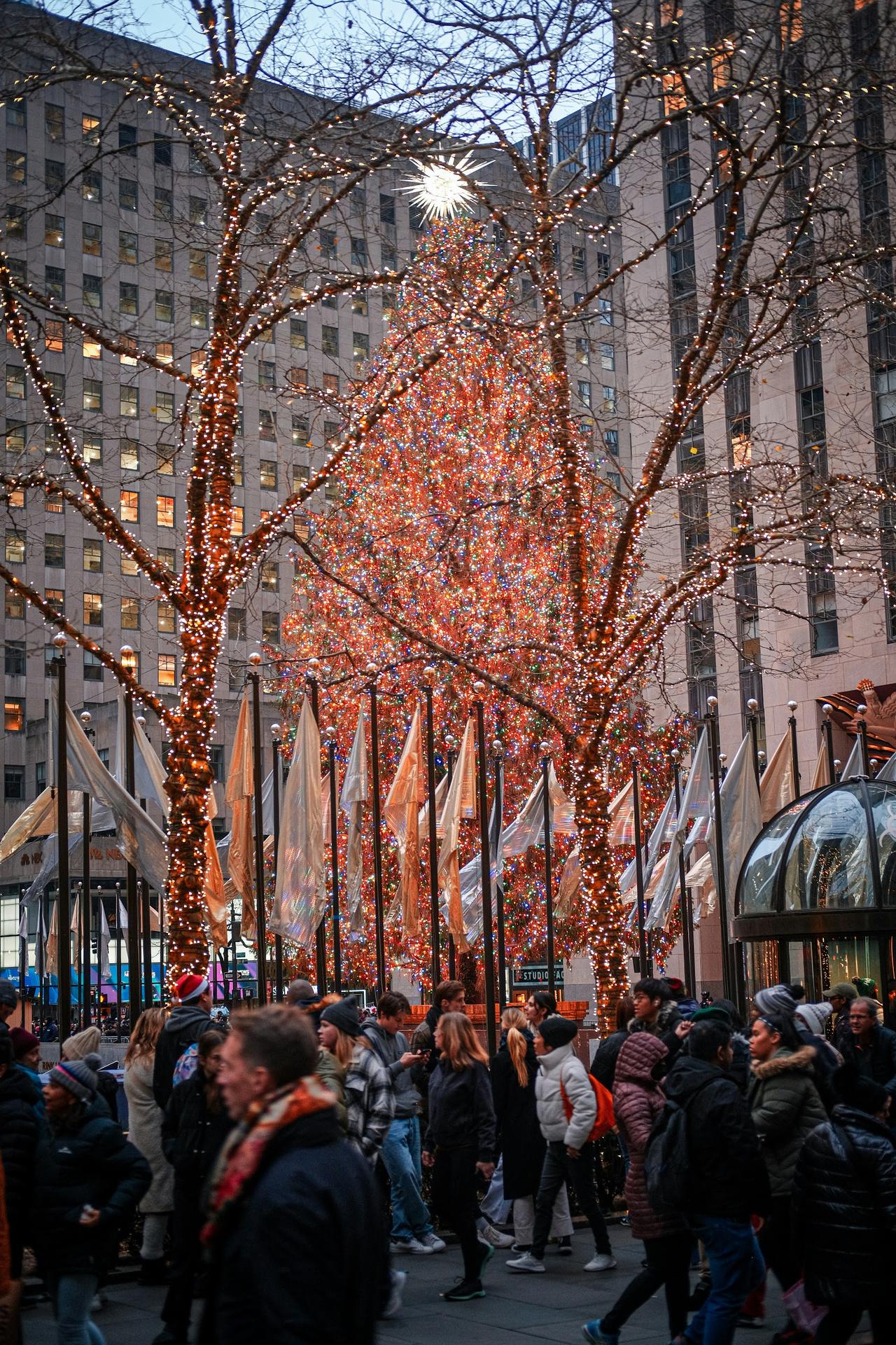 New York City Christmas Lights Tour with Empire State Building, photo 3