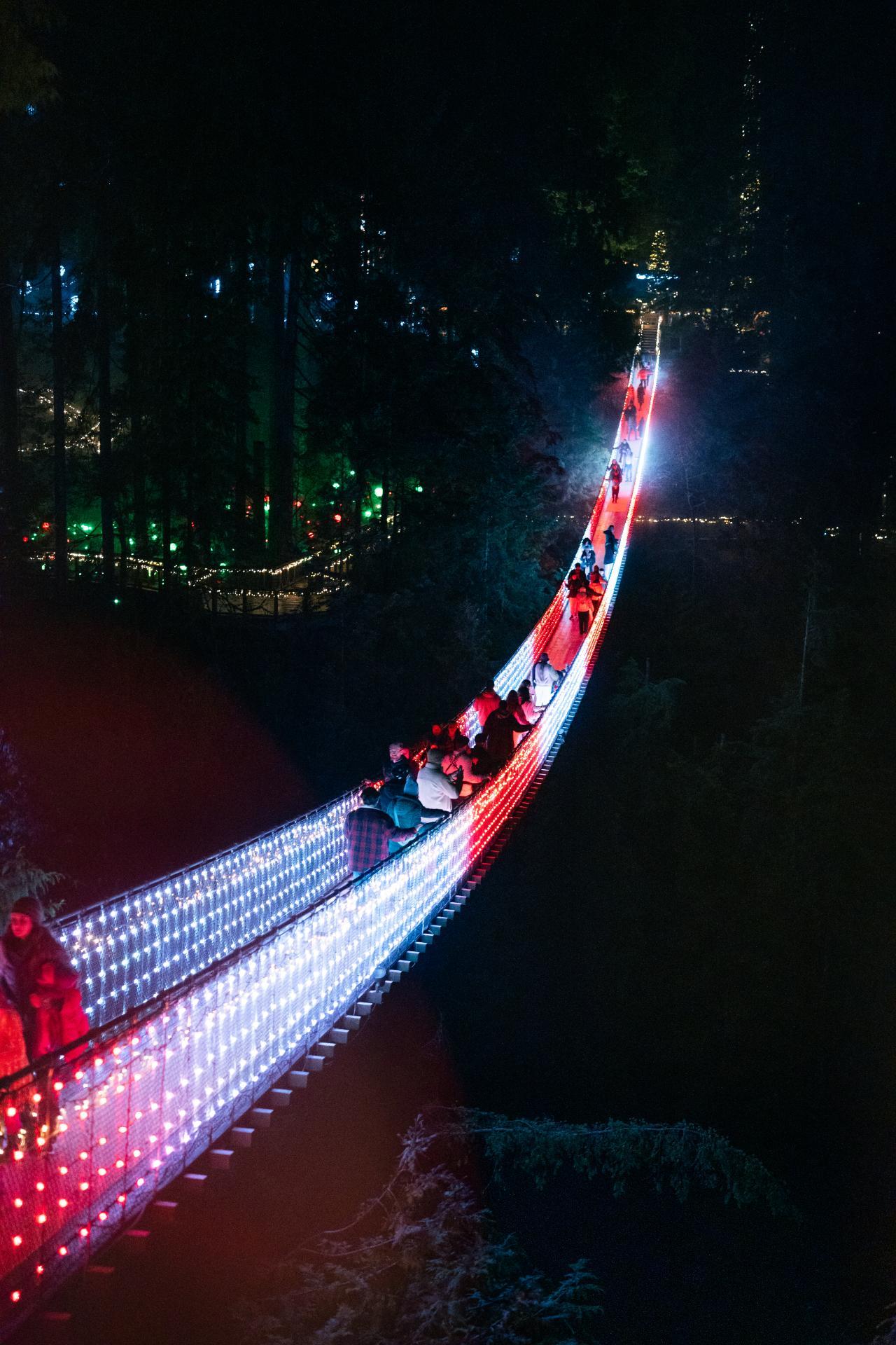 Capilano Suspension Bridge with Canyon Lights Tour, photo 5