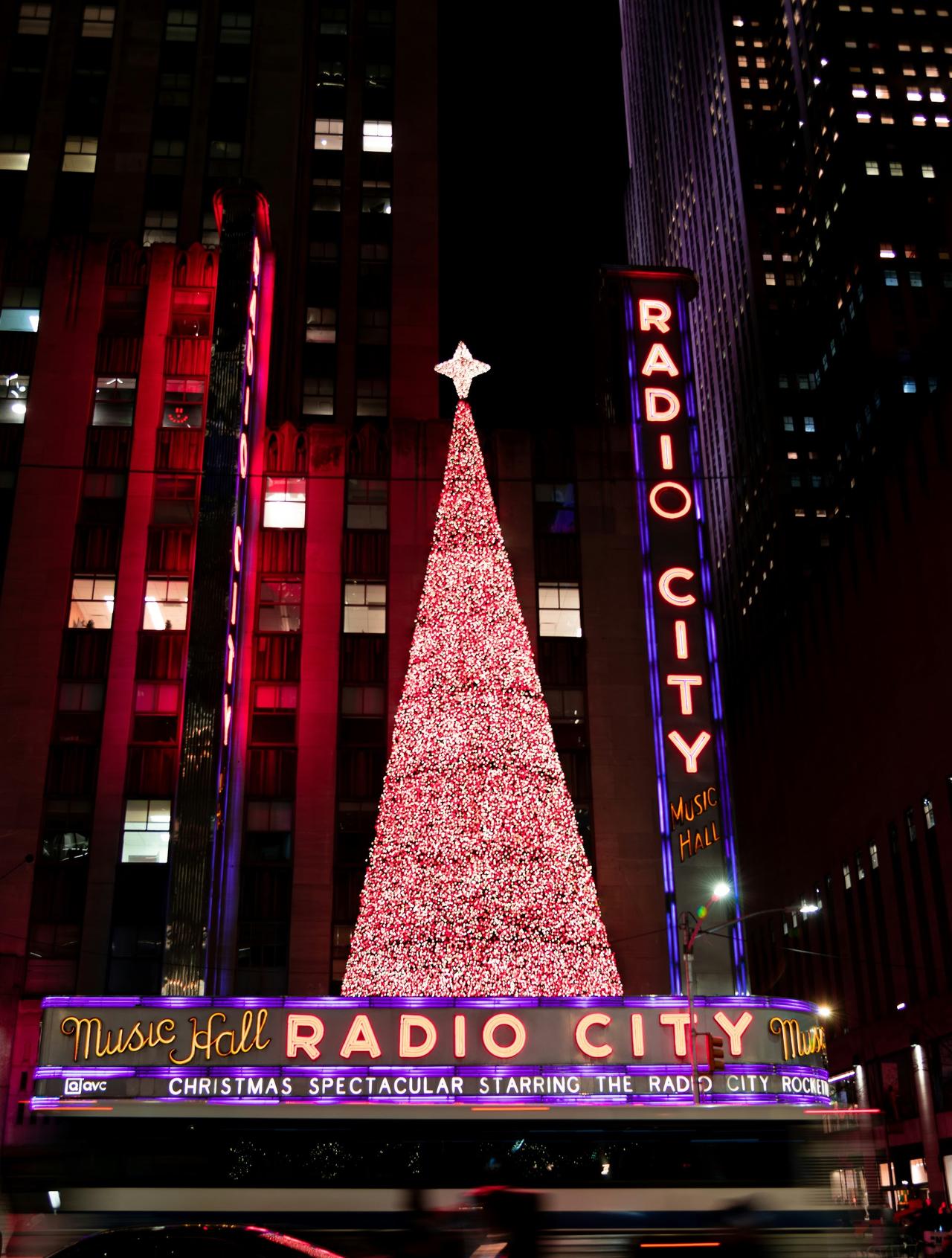 New York City Christmas Lights Tour with Empire State Building, photo 5