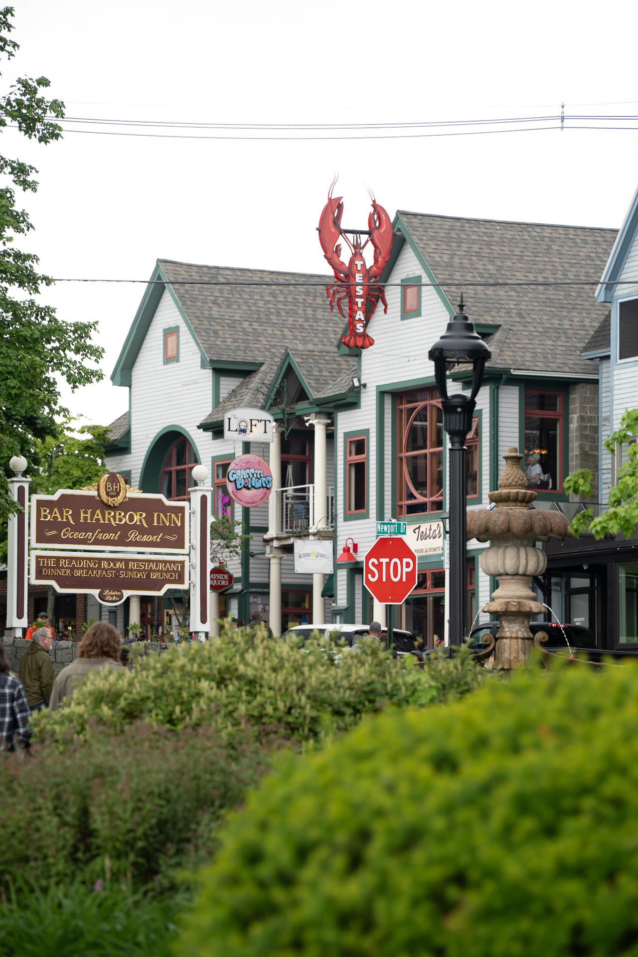 Best of Bar Harbor Food Walking Tour, photo 3