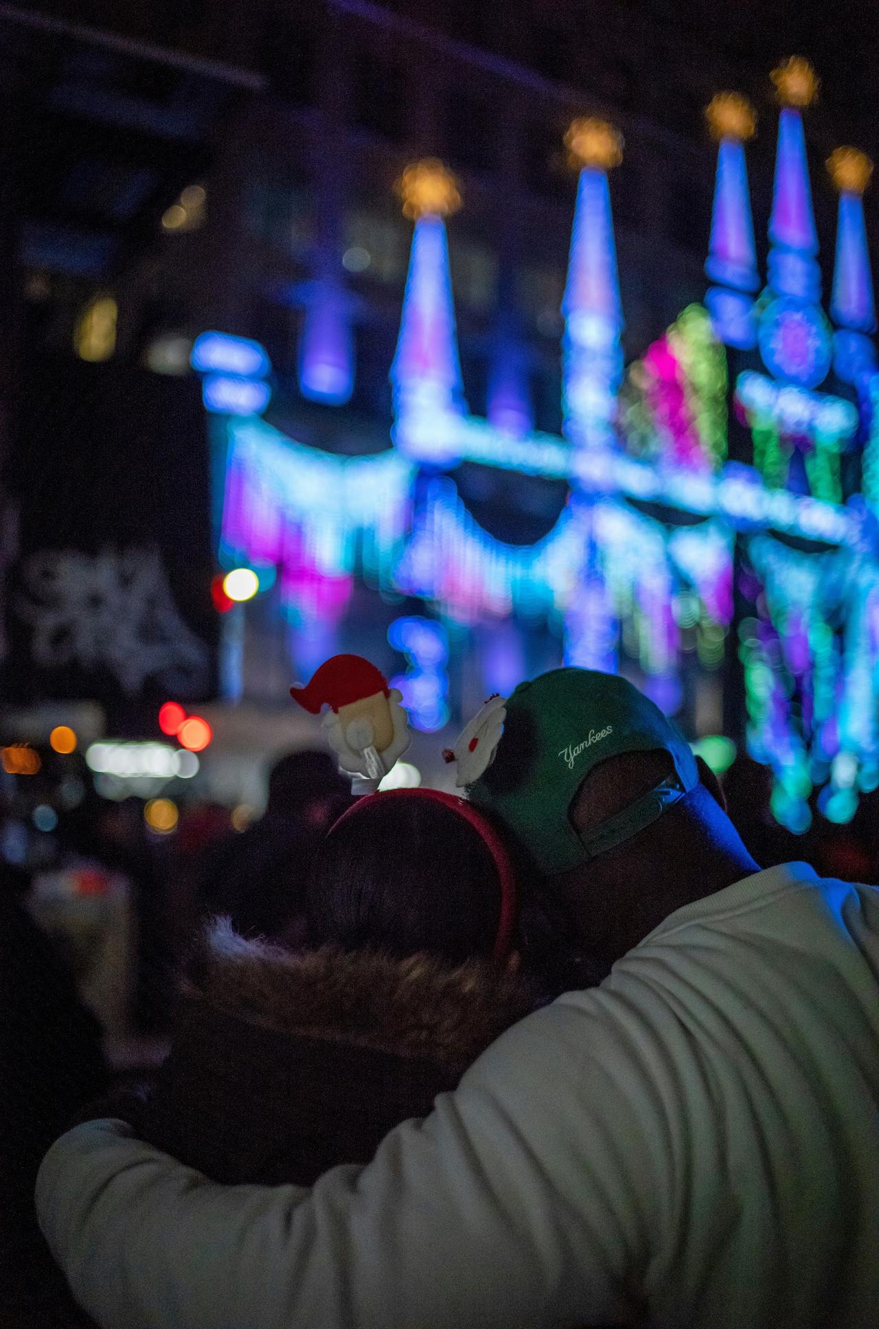New York City Christmas Lights Tour with Empire State Building, photo 4