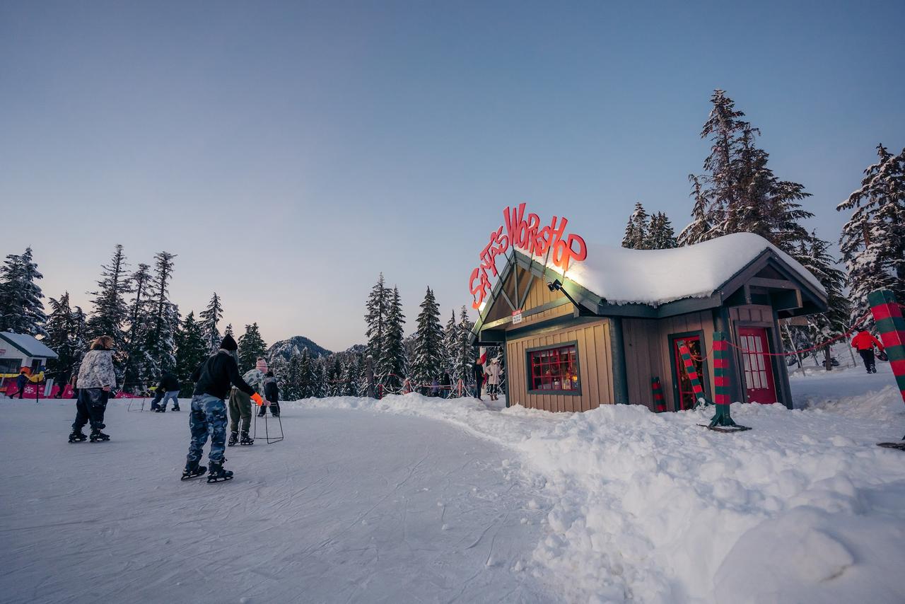 Vancouver Grouse Mountain Small Group Express + Skyride, Peak Chairlift, Lumberjacks & Wildlife Reserve, photo 2